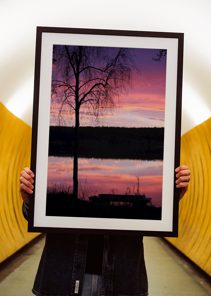 Purple morning by the lakeside