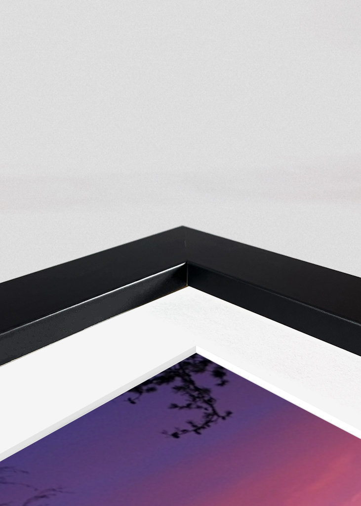 Purple morning by the lakeside