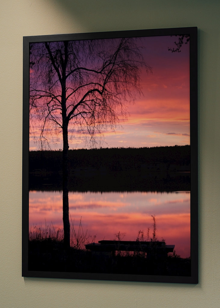 Purple morning by the lakeside