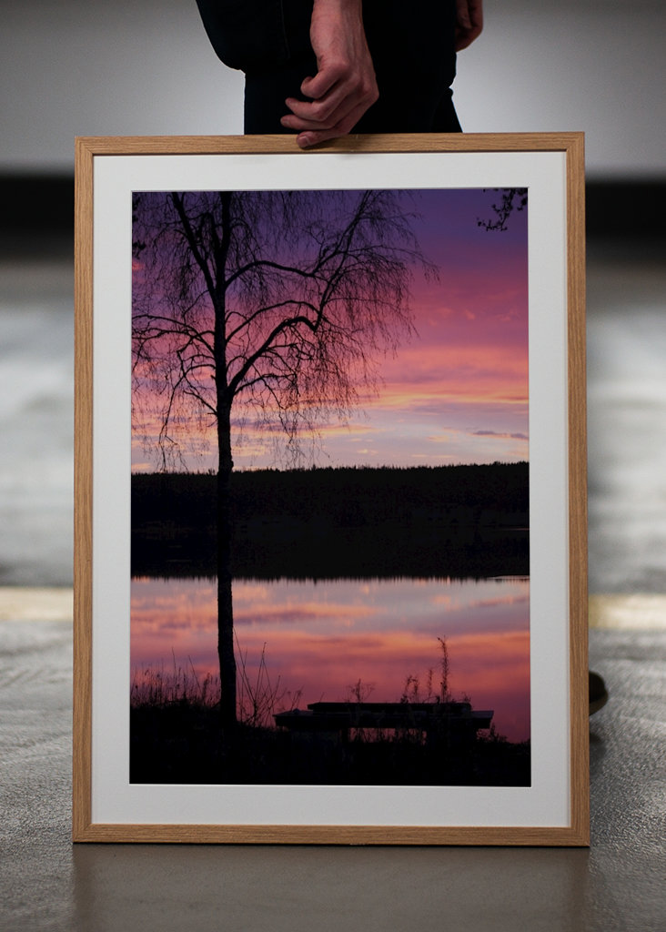 Purple morning by the lakeside