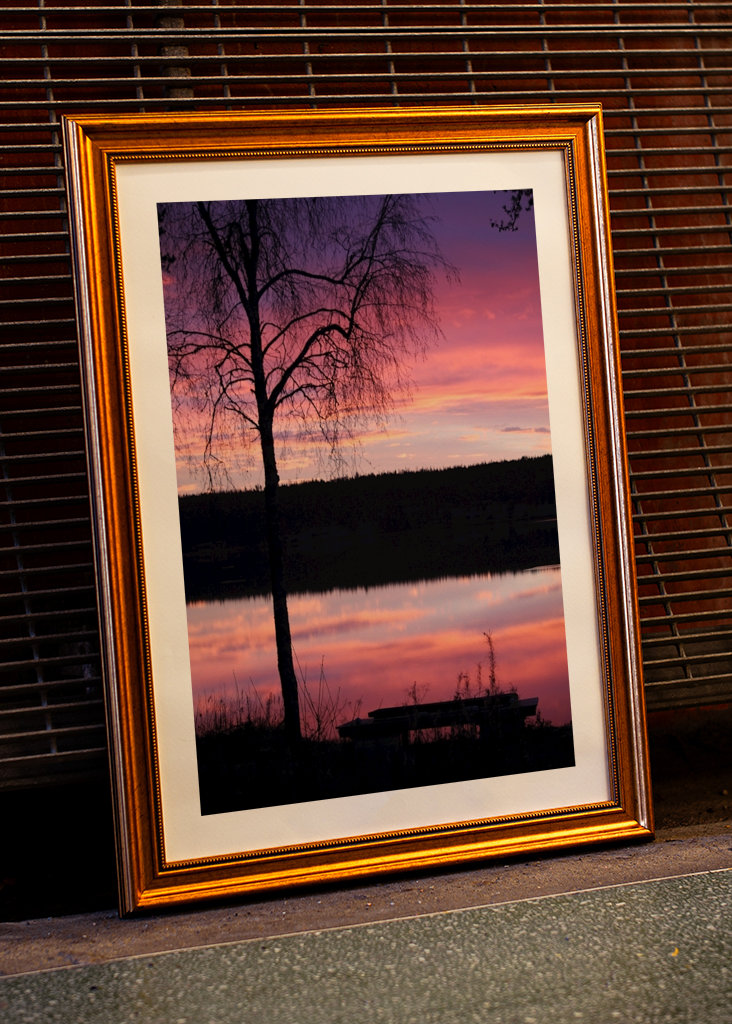 Purple morning by the lakeside
