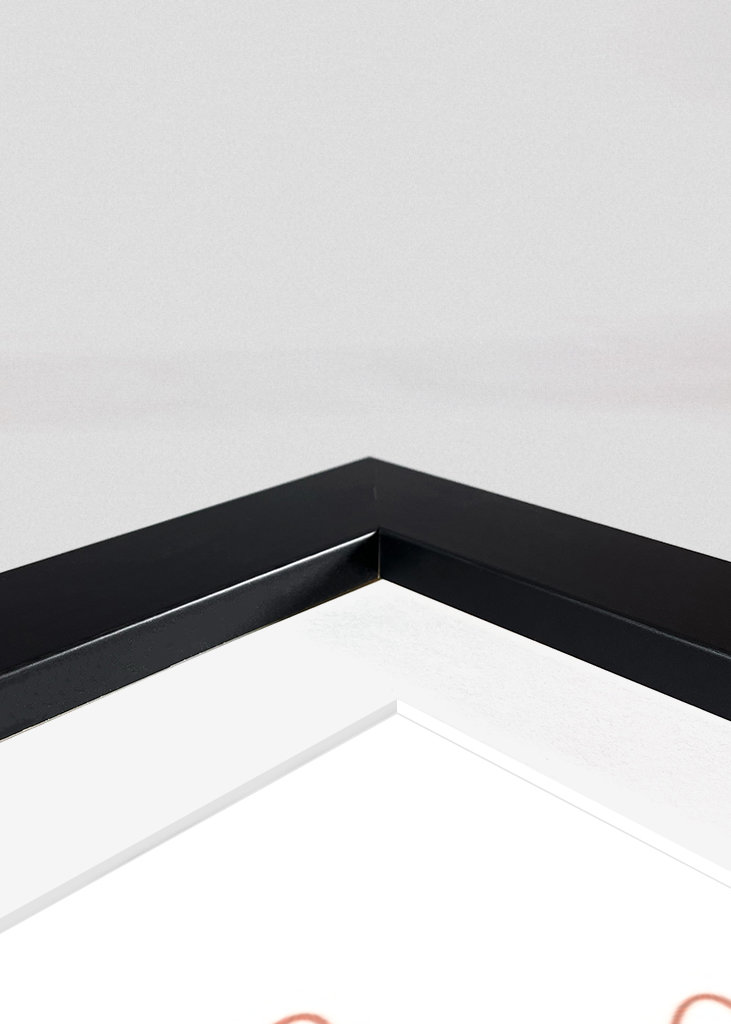 Bunch of summer flowers