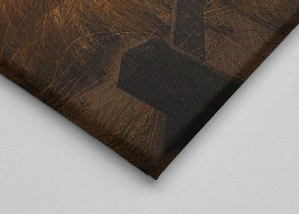 Widok na Morze Bałtyckie Graal-Müritz