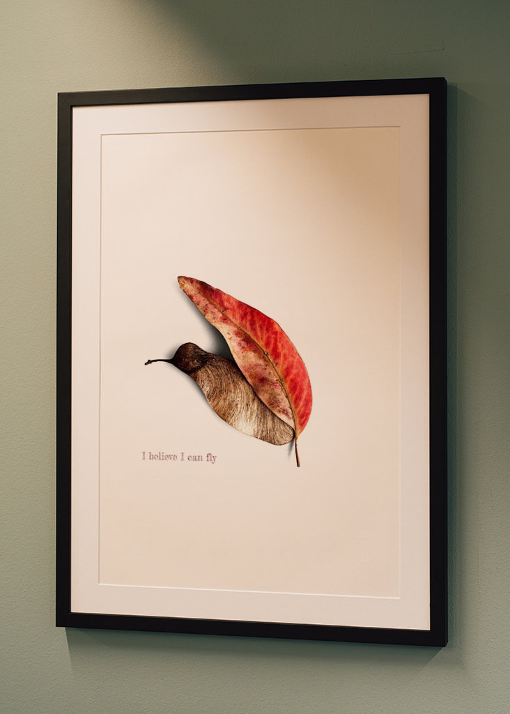 Jag tror att jag kan flyga