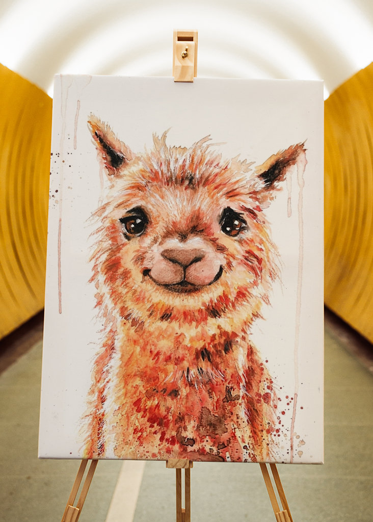 Watercolor smiling Alpaca Lama