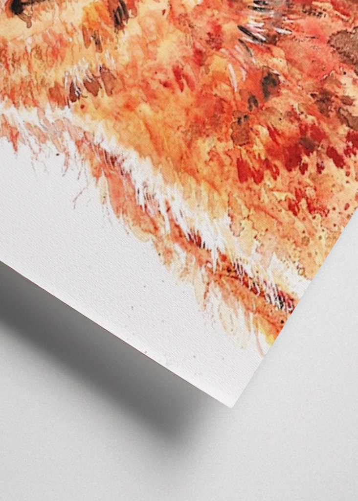 Watercolor smiling Alpaca Lama