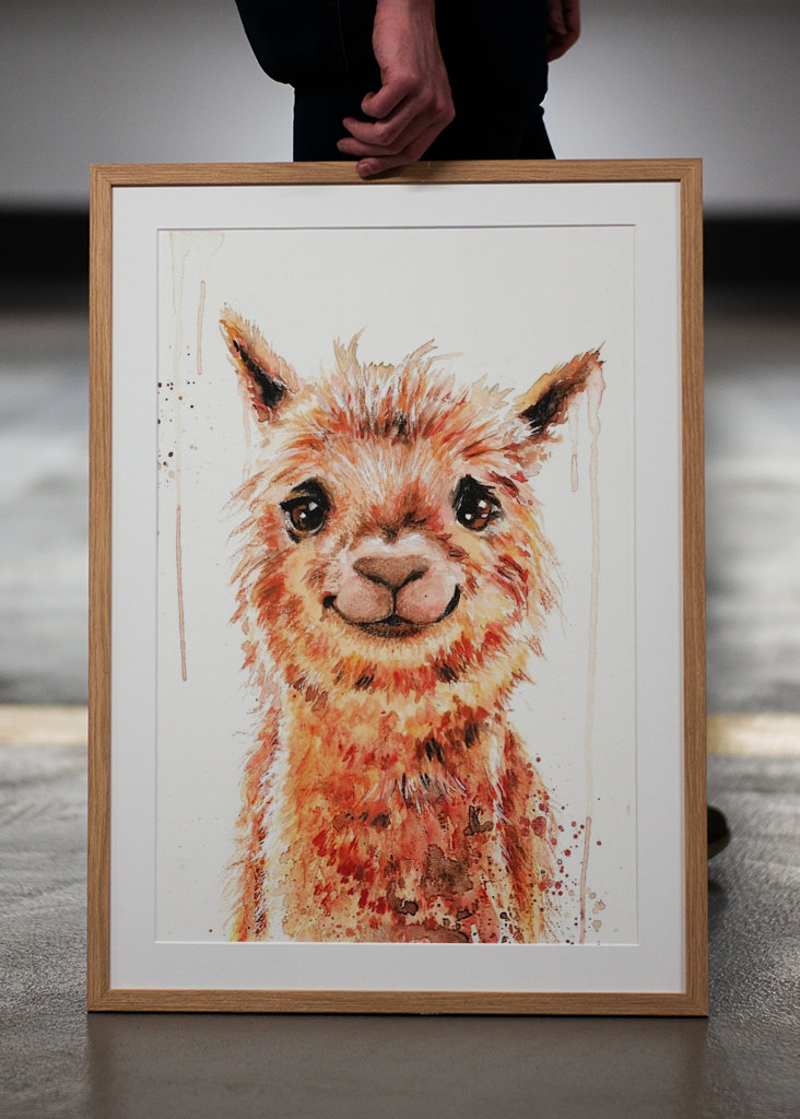 Watercolor smiling Alpaca Lama
