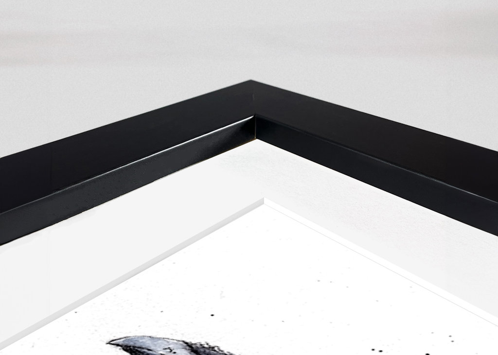 Wrony akwarelowe - Kruki 