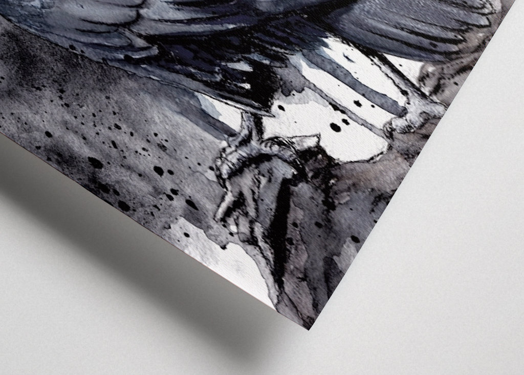 Wrony akwarelowe - Kruki 