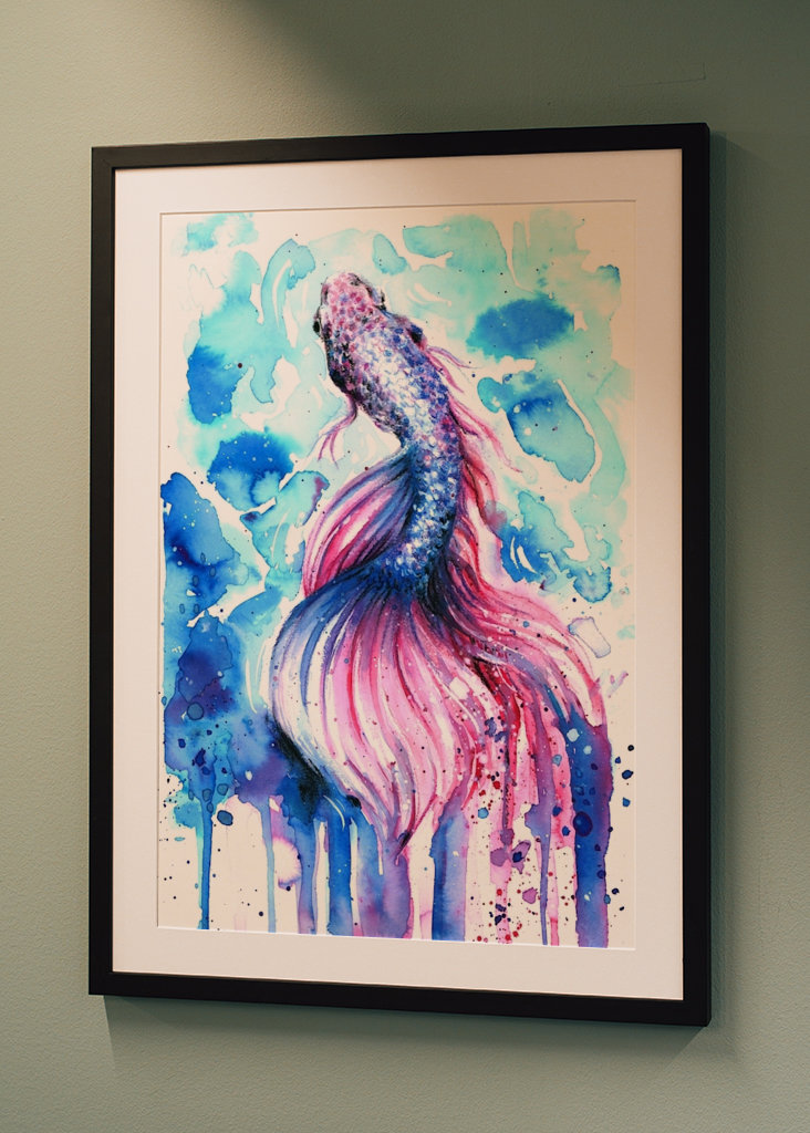 Siamesischer Kampffisch Aquare