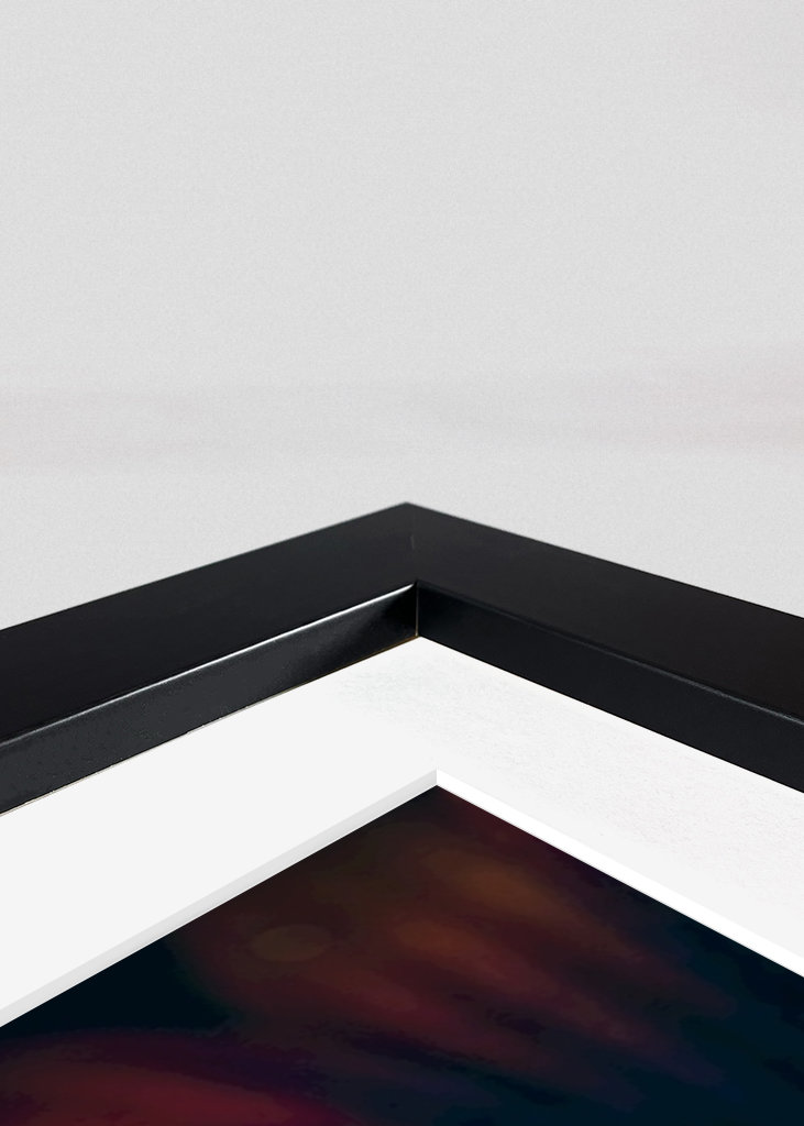 Španělská sedmikráska