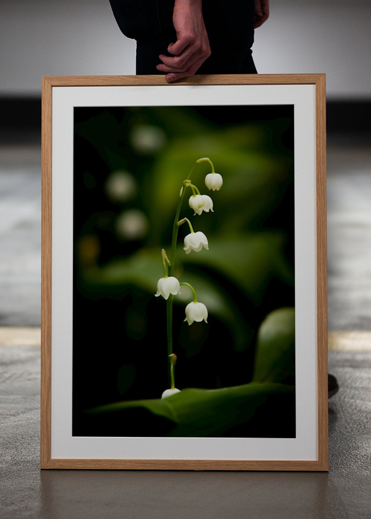 Muguet