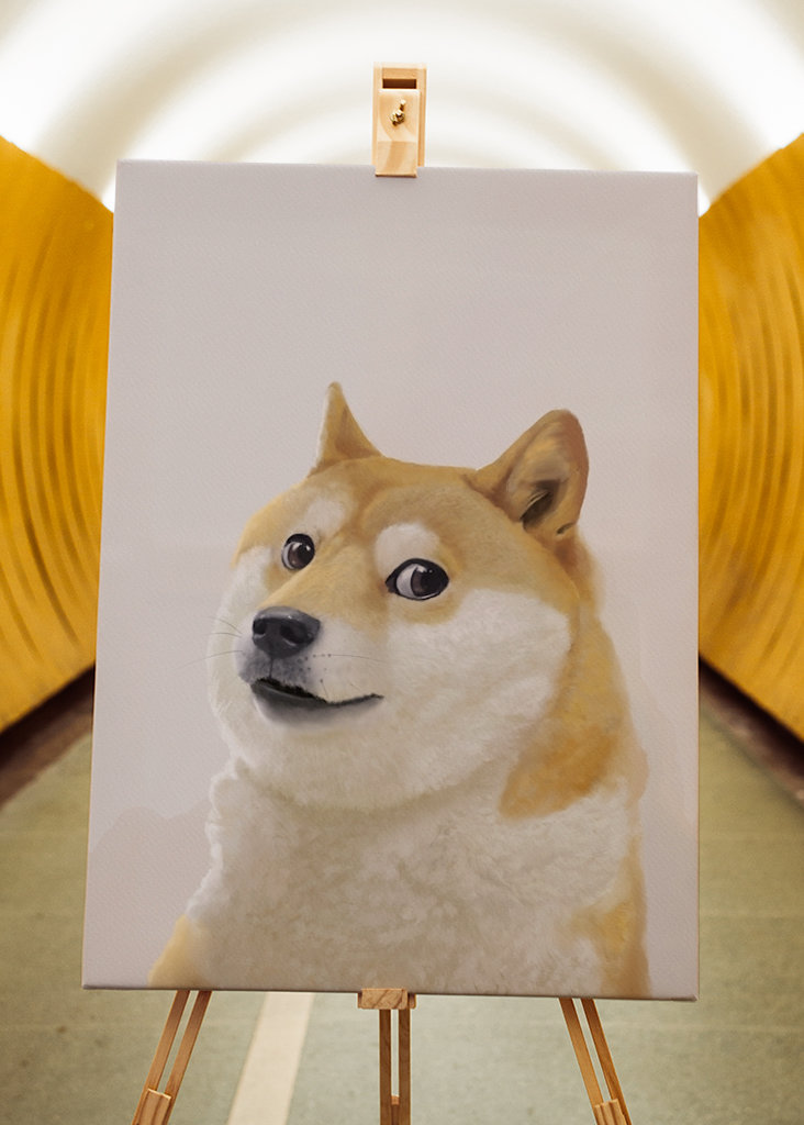 Doge - Meme
