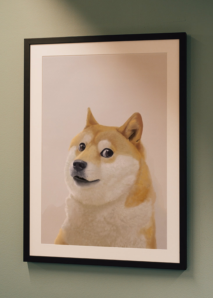 Doge - Meme