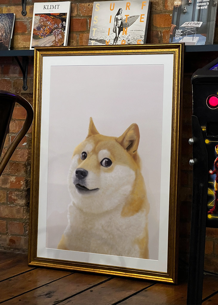 Doge - Meme
