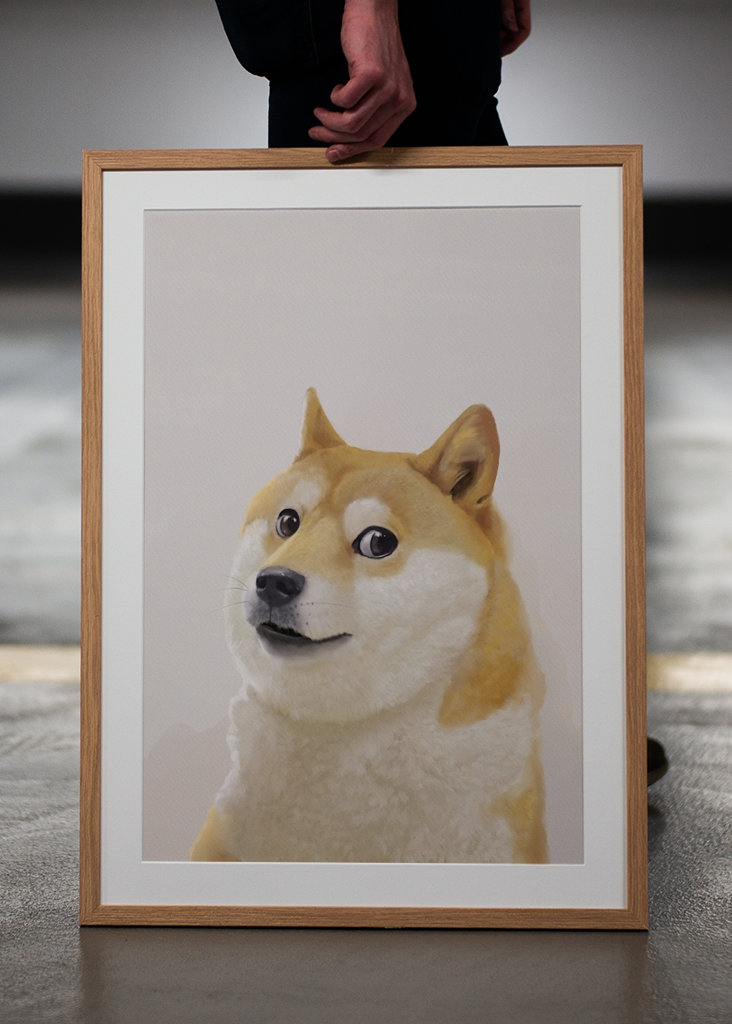 Doge - Meme