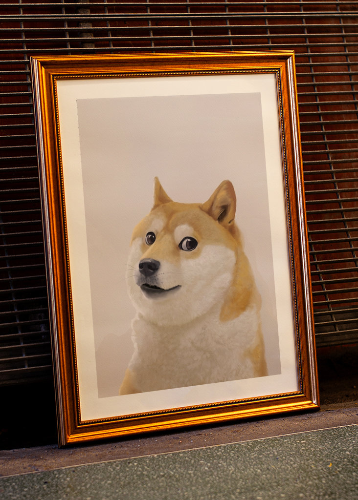 Doge - Meme