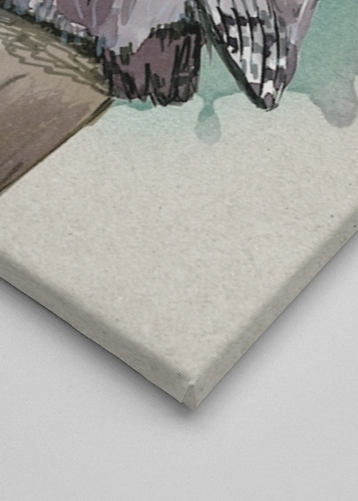 Northern white faced owl