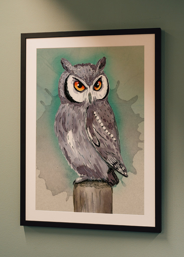 Northern white faced owl