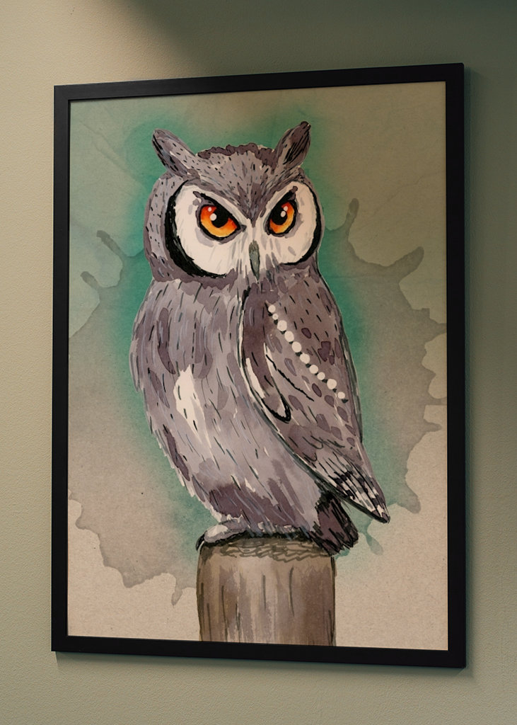 Northern white faced owl