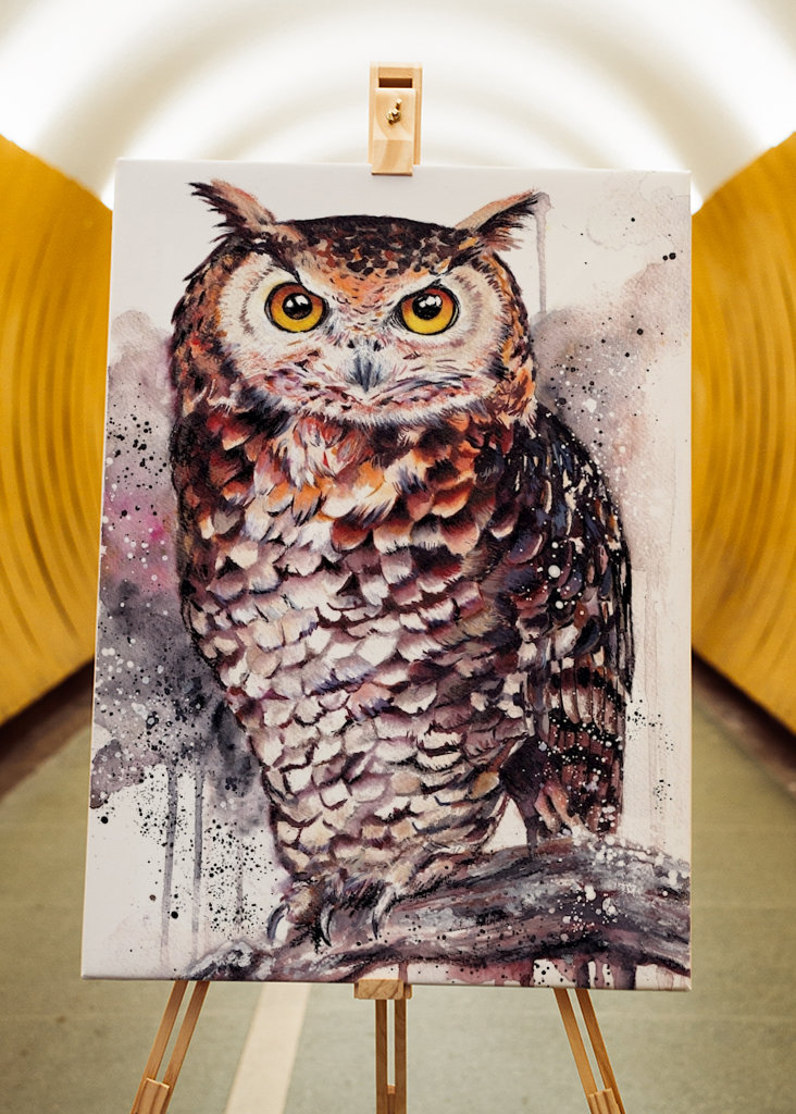 Gufo reale dell'acquerello Gufo