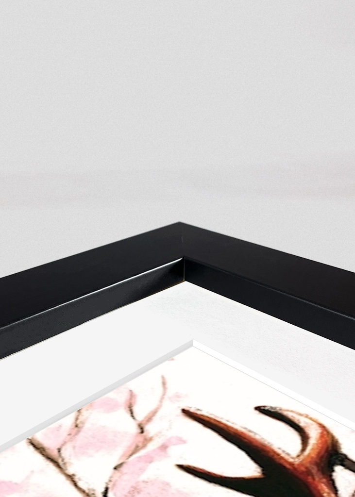 Deer - King of the forest