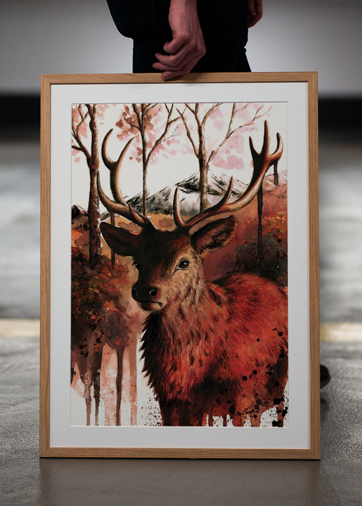 Deer - King of the forest