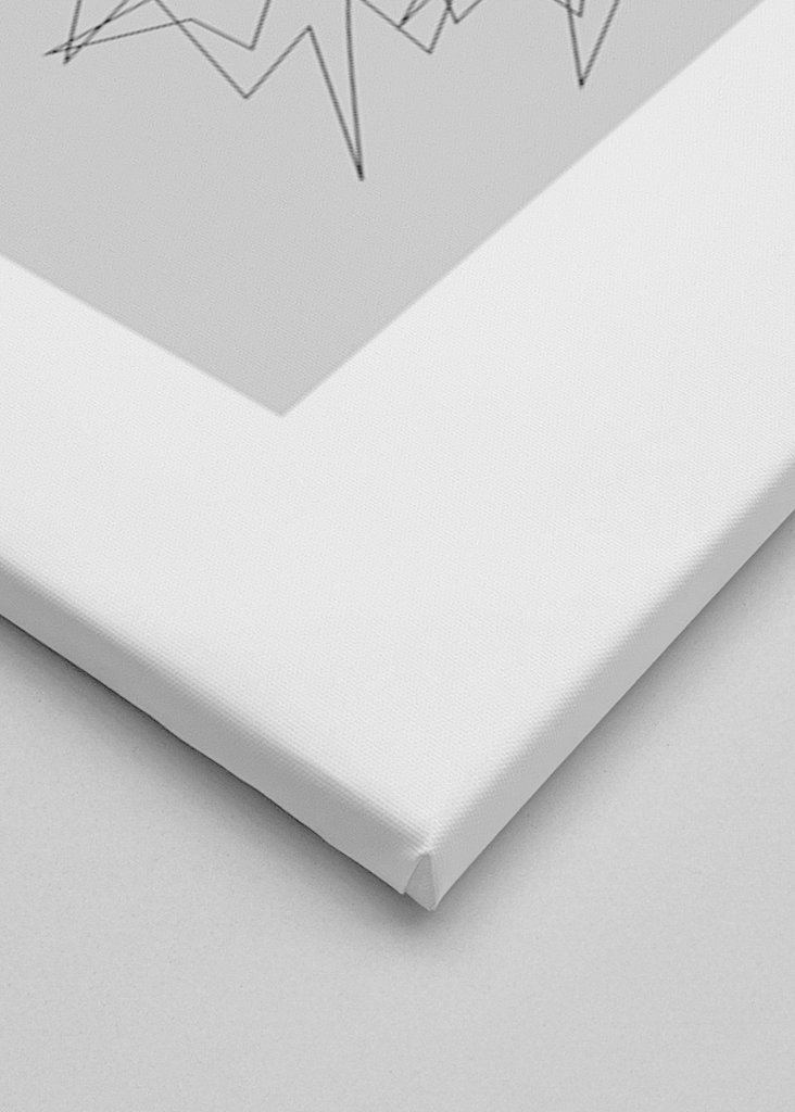 The fox is trotting across the