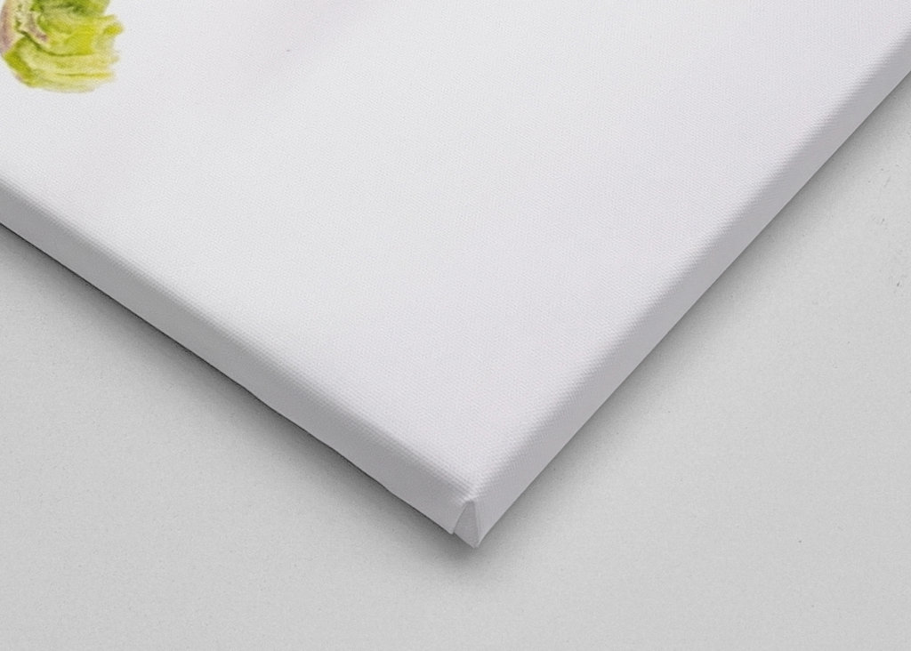 Pepperoni in front of white