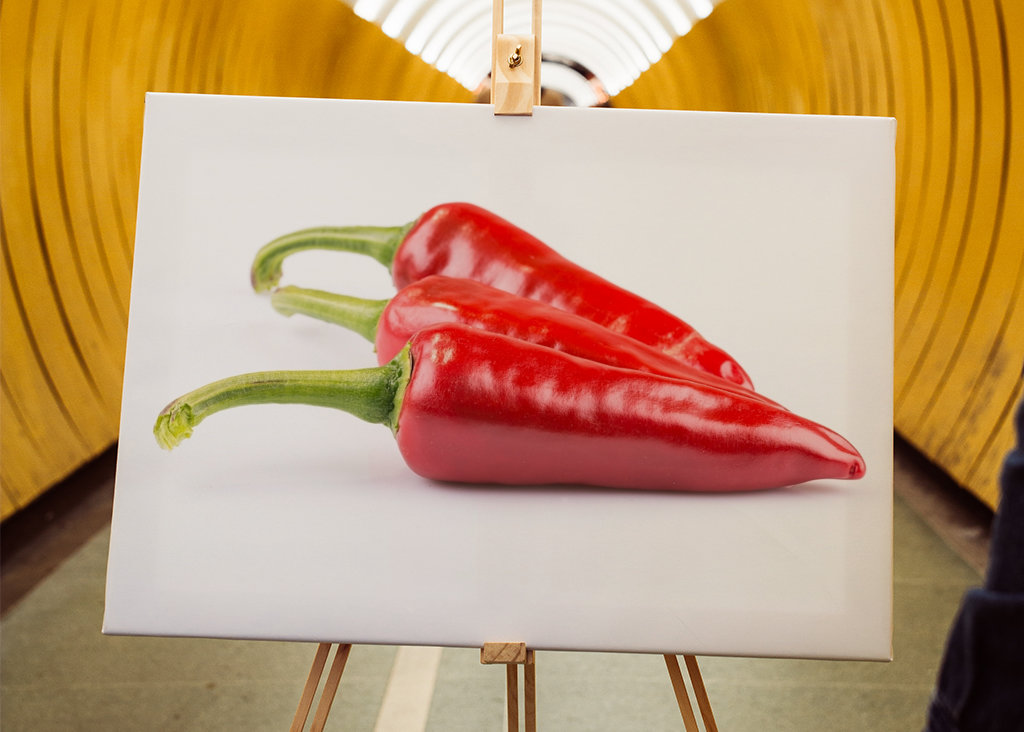 Pepperoni in front of white