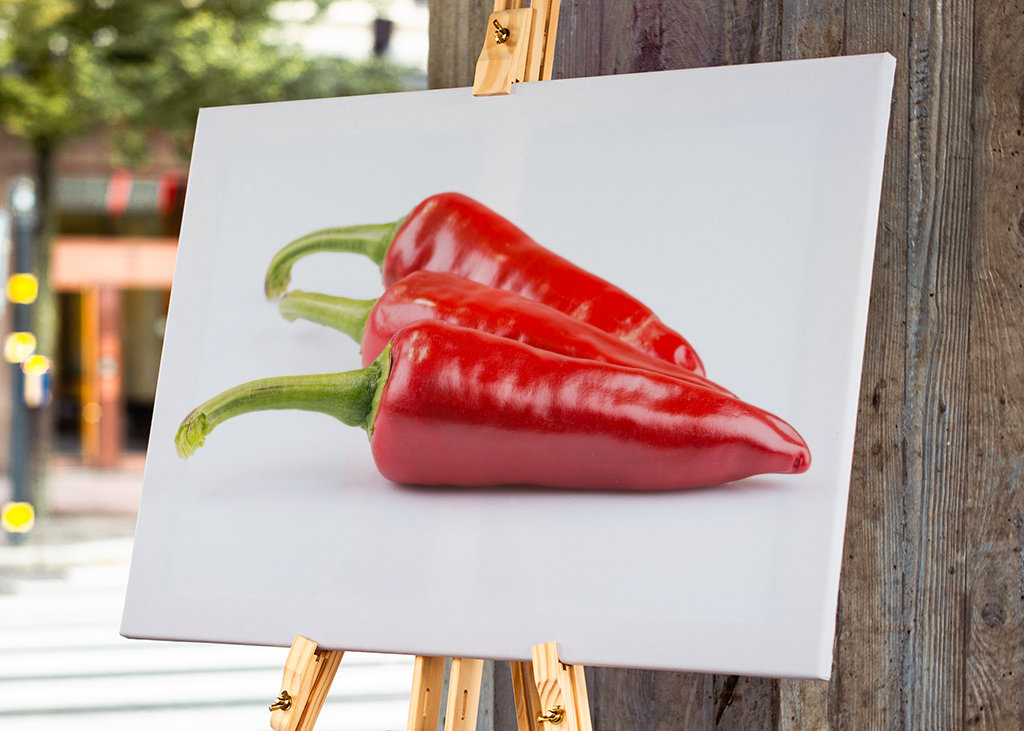 Pepperoni in front of white