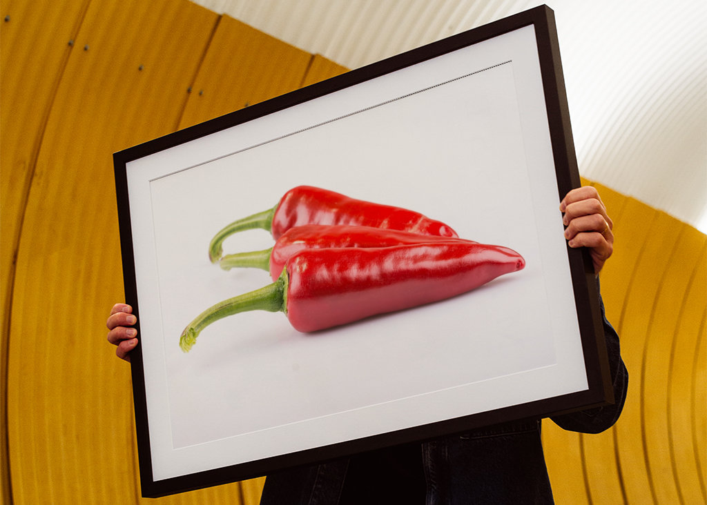 Pepperoni in front of white