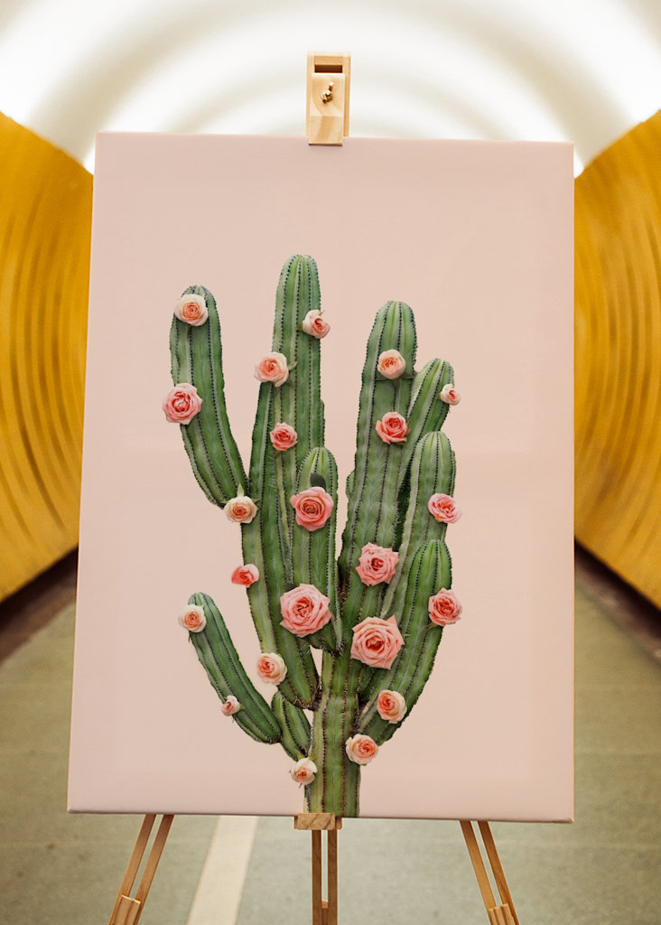 Cactus and Roses
