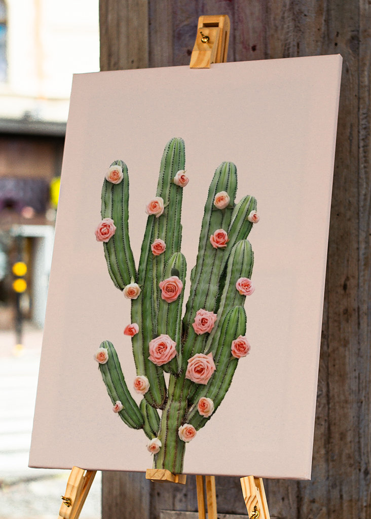 Cactus and Roses