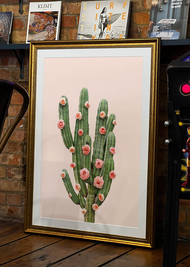 Cactus and Roses