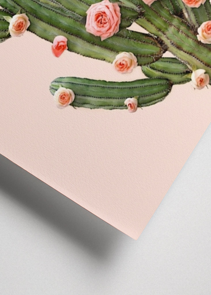 Cactus and Roses