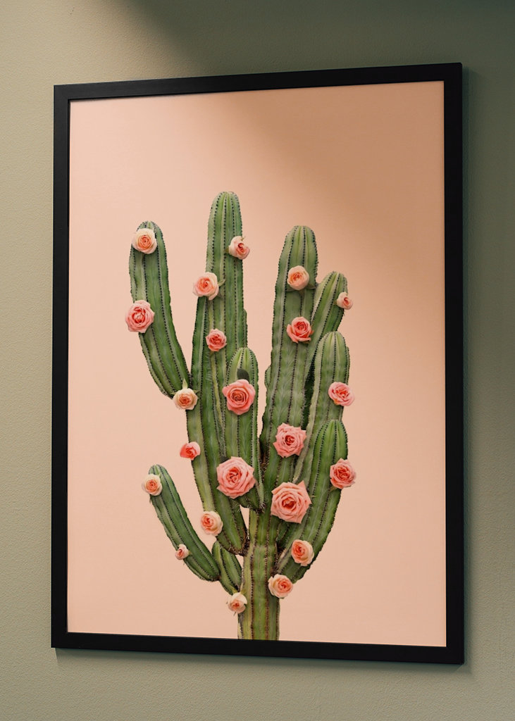 Cactus and Roses