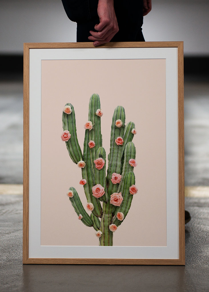 Cactus and Roses