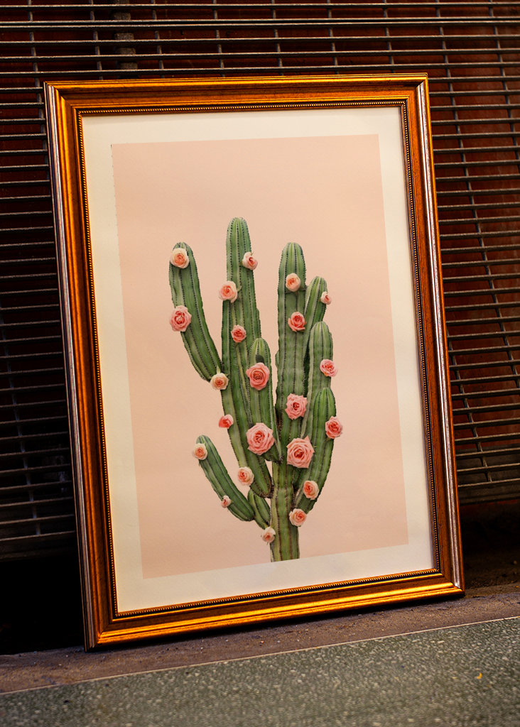 Cactus and Roses
