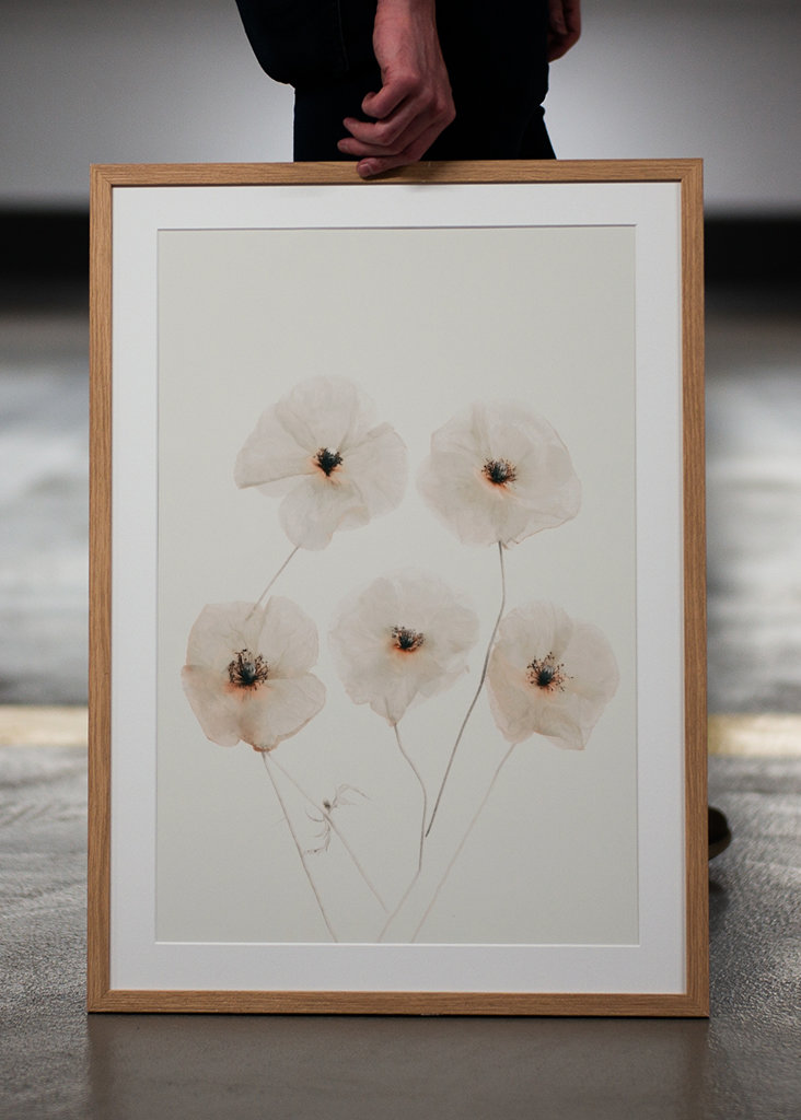Fine Art Beige Blumen