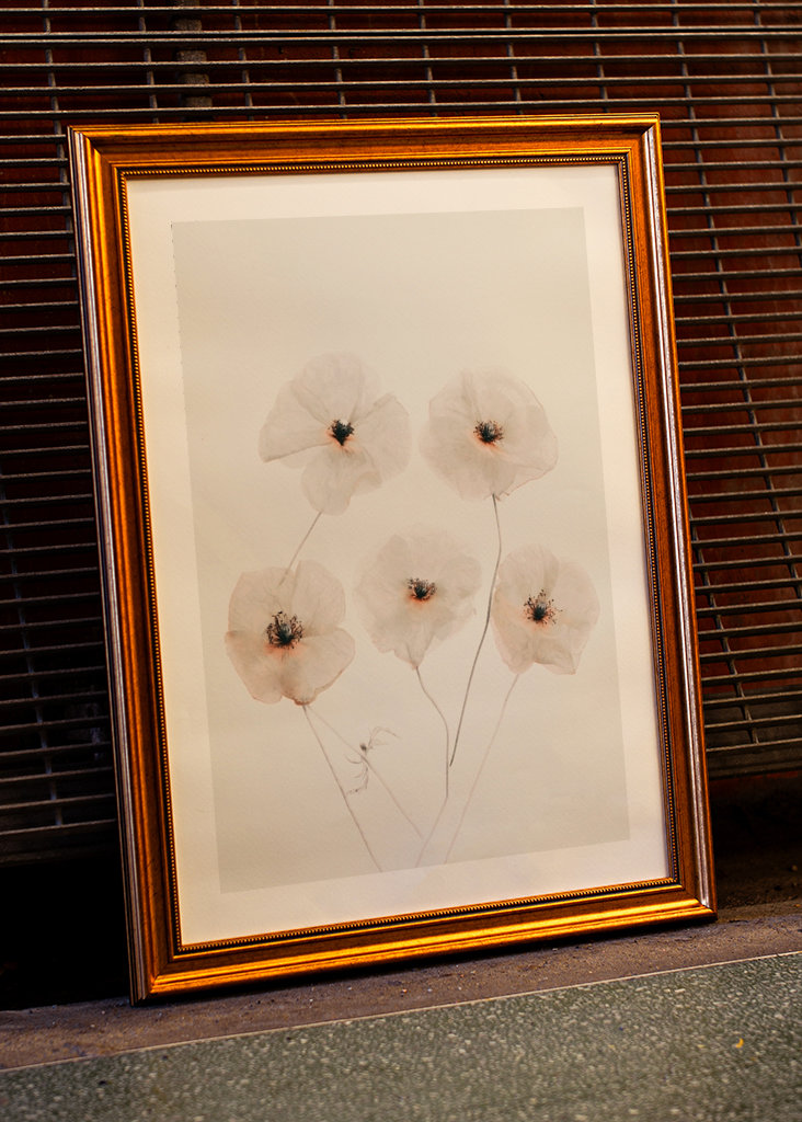 Fine Art Beige Blumen