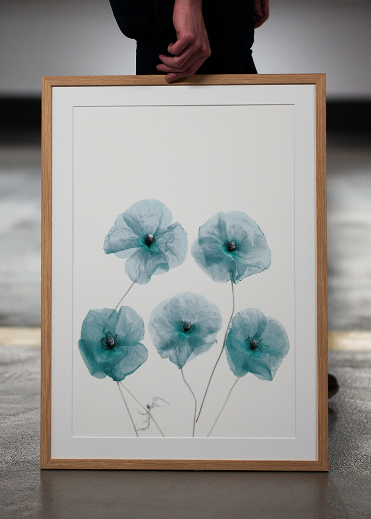 Fiori d'arte fragili blu