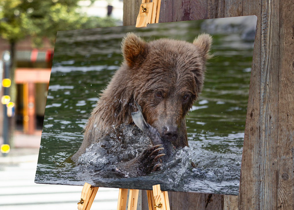 Brunbjørn jakter laks