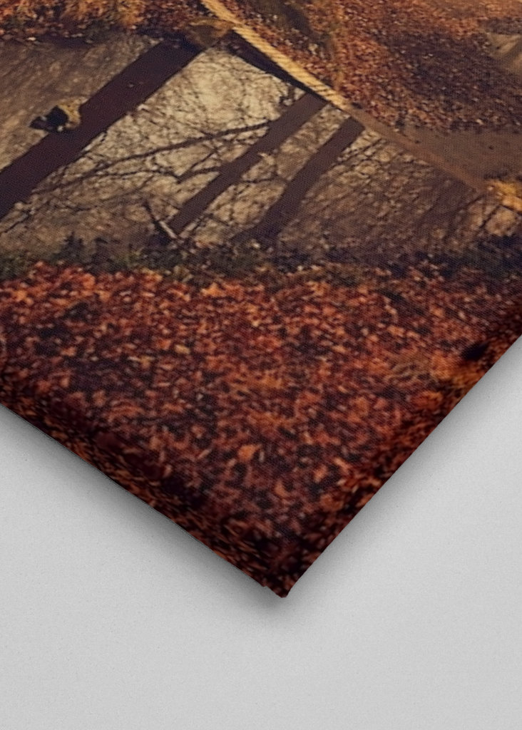 Forest Creek in Autumn