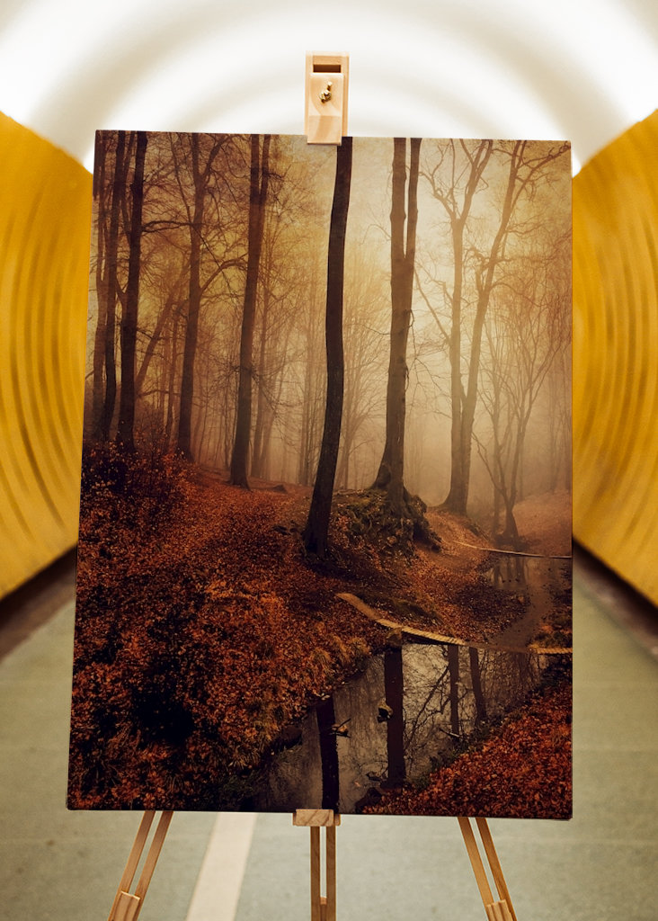 Forest Creek in Autumn