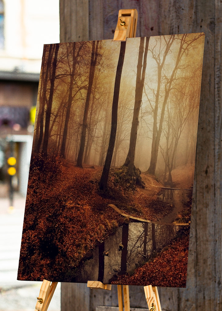 Forest Creek in Autumn