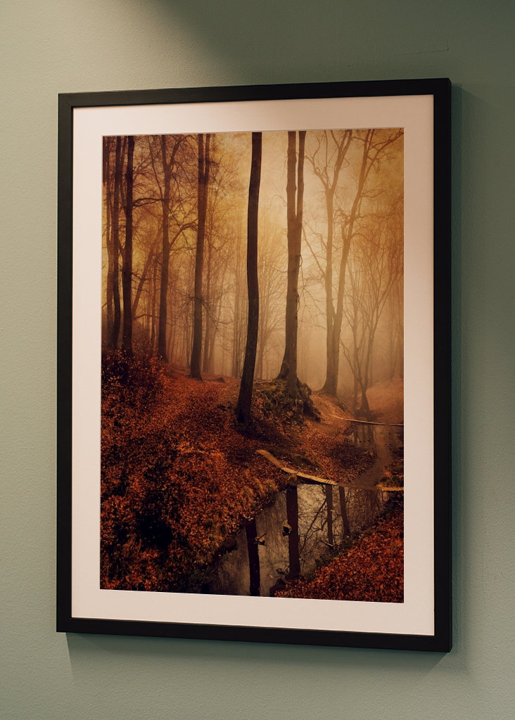 Forest Creek in Autumn