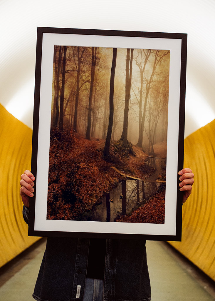 Forest Creek in Autumn