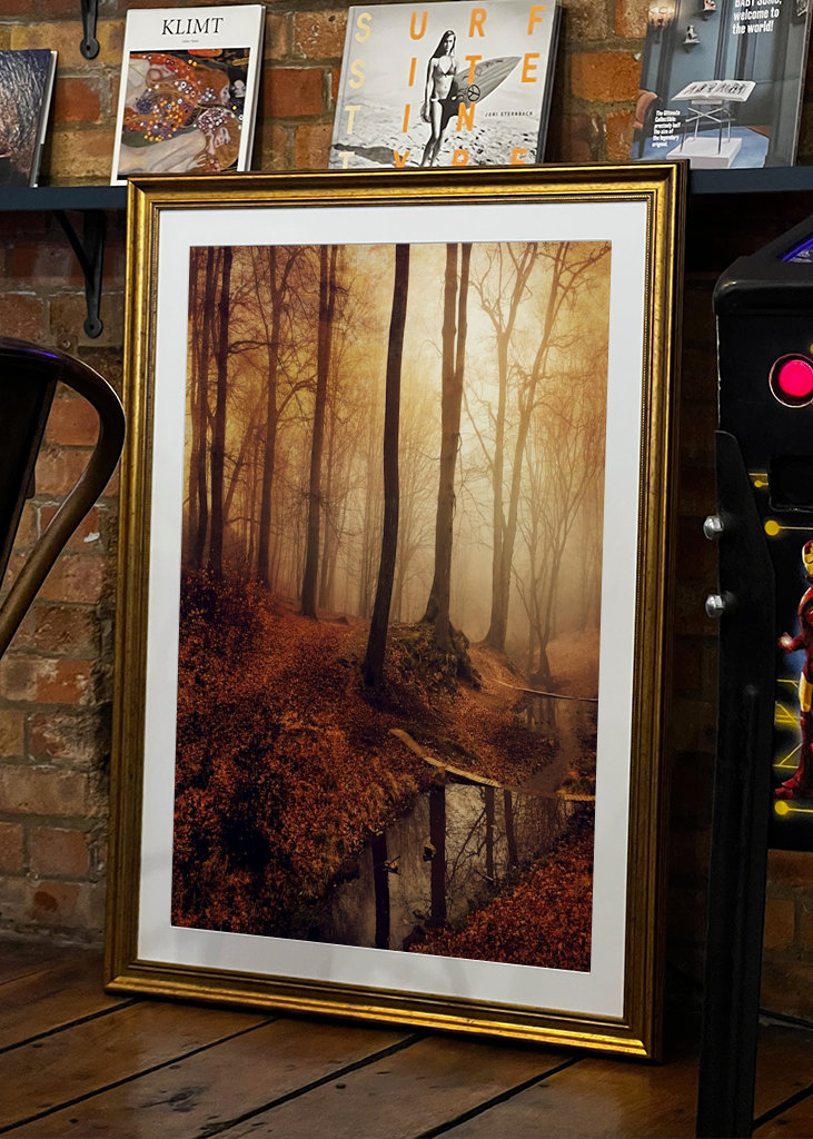 Forest Creek in Autumn