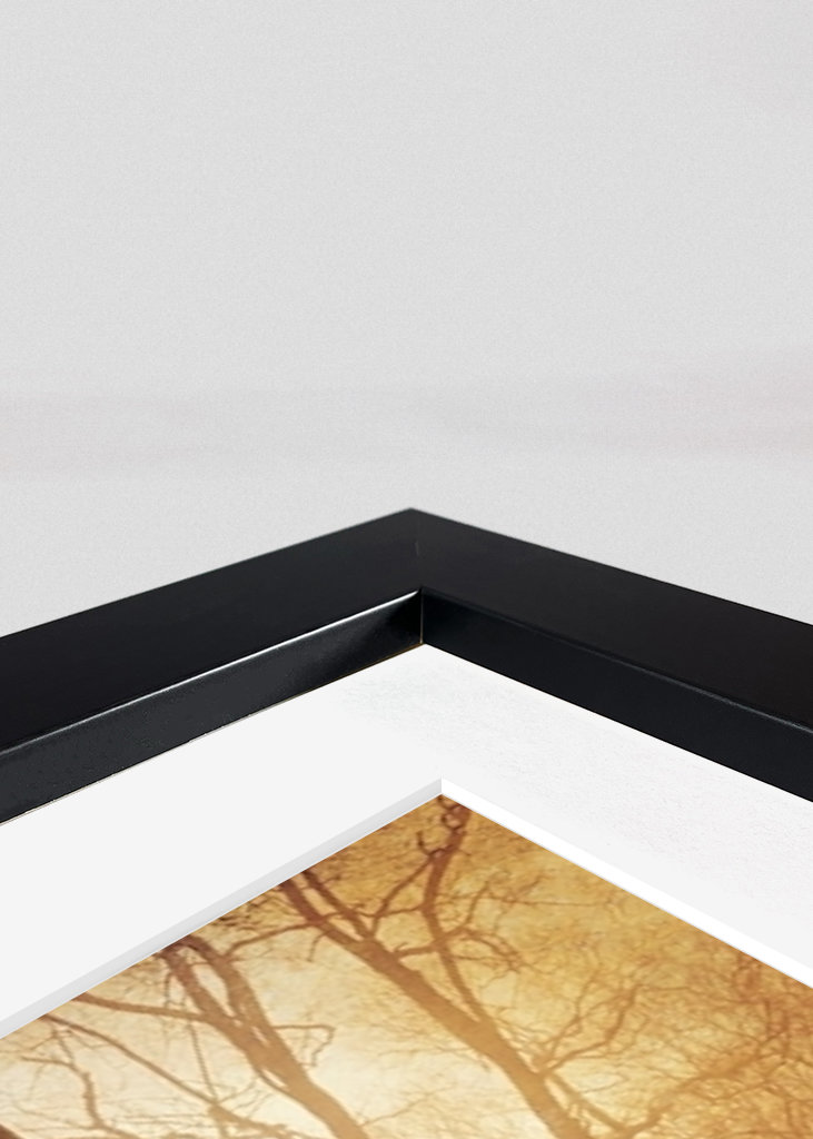 Forest Creek in Autumn